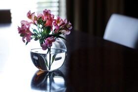 Park Hyatt Mendoza, Hotel Casino & Spa