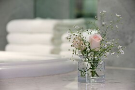 Park Hyatt Mendoza, Hotel Casino & Spa