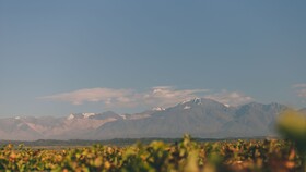 Rosell Boher Lodge