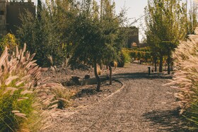 Rosell Boher Lodge