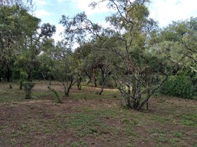 La Morocha