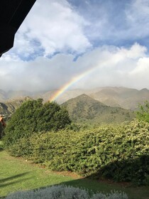Zolara Di Merlo