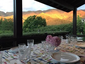 Zolara Di Merlo