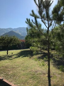 Zolara Di Merlo