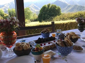 Zolara Di Merlo