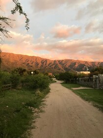 Zolara Di Merlo