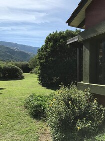 Zolara Di Merlo