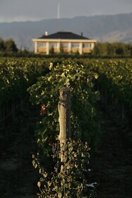 Estancia Mendoza Wine Hotel
