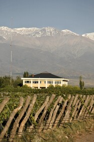 Estancia Mendoza Wine Hotel