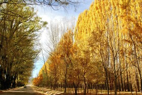 Valle Andino