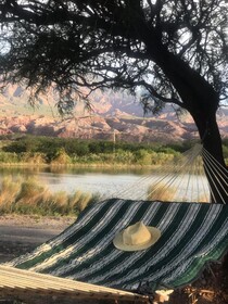 Castillos de Cafayate