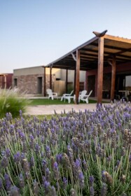 Castillos de Cafayate