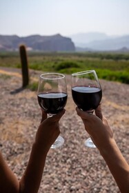 Castillos de Cafayate