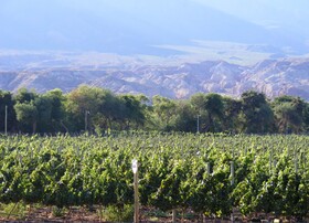 La Casa de la Bodega - Wine Boutique