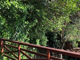 El Montecito