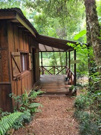 Margay - Reserva Natural & Lodge De Selva