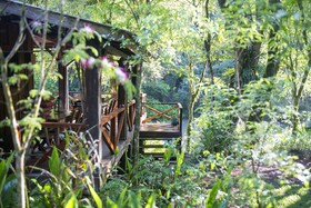 Margay - Reserva Natural & Lodge De Selva