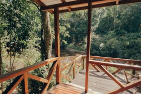Margay - Reserva Natural & Lodge De Selva
