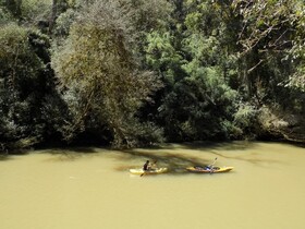 Margay - Reserva Natural & Lodge De Selva