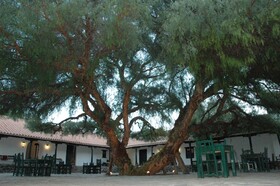 Hacienda Los Molinos
