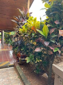 Residencial Arcoiris