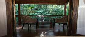 Selva de Laurel