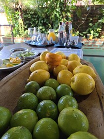 Terra Iguazú Cabañas