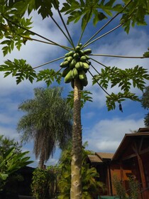 Terra Iguazú Cabañas