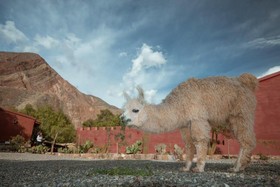 Hostal Posta de Purmamarca