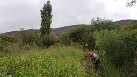 La Quinta De Maria Tilcara
