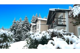 Aldea Andina Hotel & Spa
