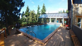 Aldea Andina Hotel & Spa