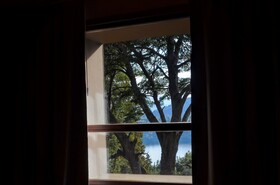 Bosque del Nahuel