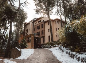 Bosque del Nahuel