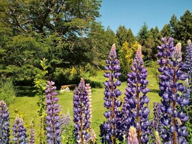Cabanas Villa Labrador