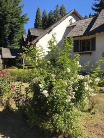 Posada Del Angel