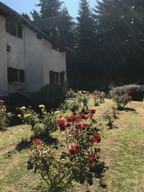 Posada Del Angel
