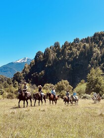 Rio Manso Camp