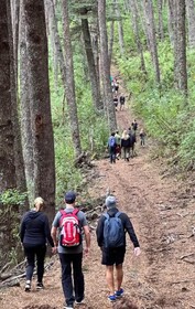 Rio Manso Camp