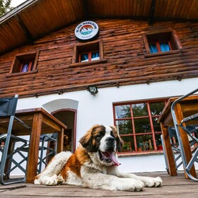 Sun Hostel Bariloche