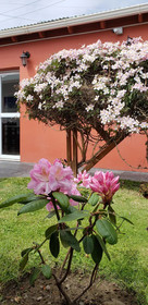 Hosteria Patagonia