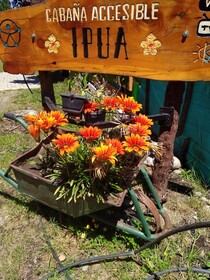 Cabana Accesible Ipua