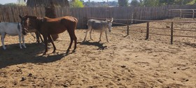 Estancia Lo Nuestro