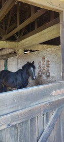 Estancia Lo Nuestro