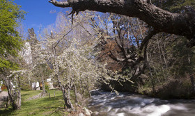 Rucaleufu Apart Hotel