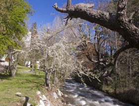 Rucaleufu Apart Hotel