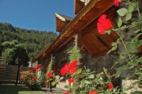 Cabañas Woodland