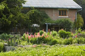 Paihuen - Resort De Montaña
