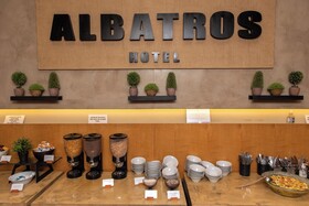 Albatros