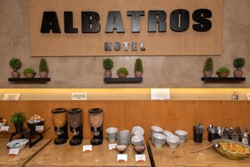 Albatros